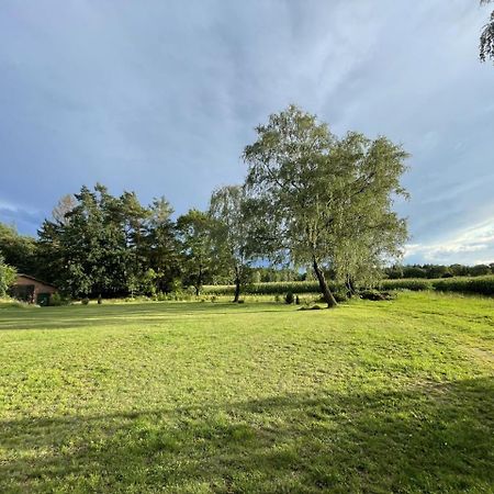 Ferienhof Timmerloher Heide Soltau Esterno foto