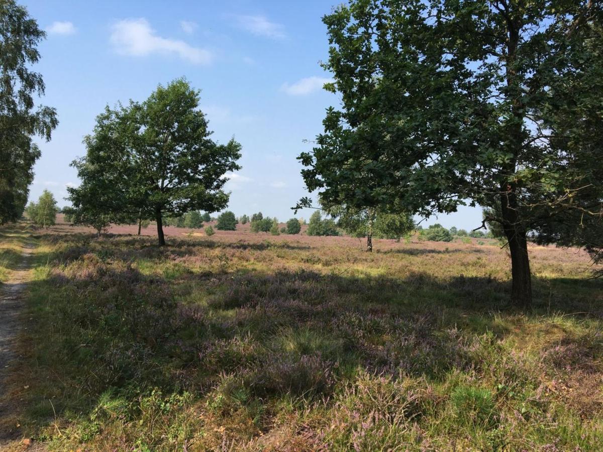 Ferienhof Timmerloher Heide Soltau Esterno foto
