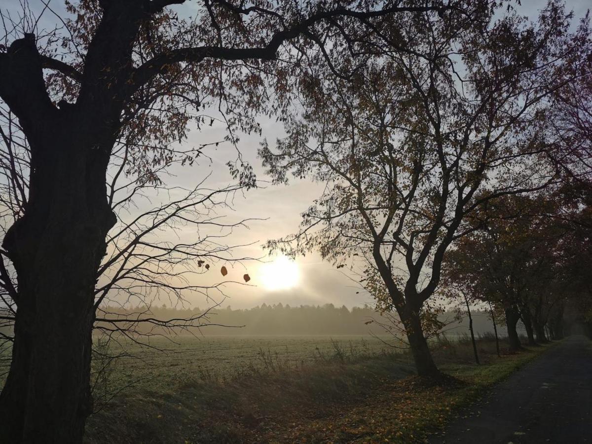 Ferienhof Timmerloher Heide Soltau Esterno foto