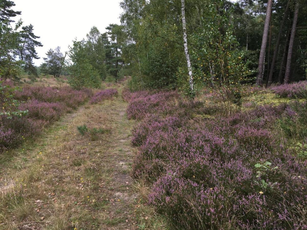 Ferienhof Timmerloher Heide Soltau Esterno foto