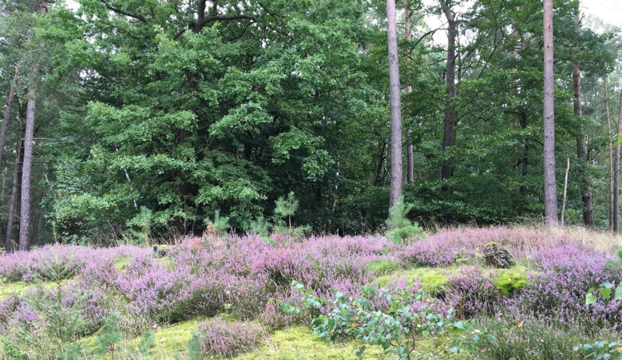 Ferienhof Timmerloher Heide Soltau Esterno foto